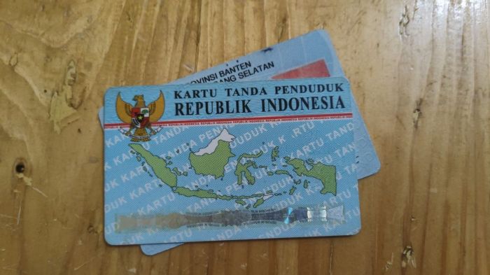 Bawaslu dki minta warga lapor jika ktp dicatut dukung dharma pongrekun